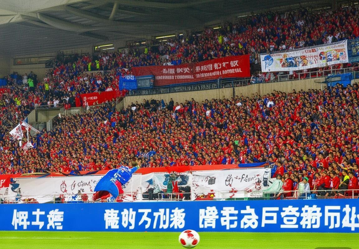 北京北控主场迎战惠灵顿凤凰：球迷力量助力争胜(图4)